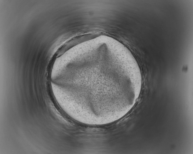 X0000116760242201001071201