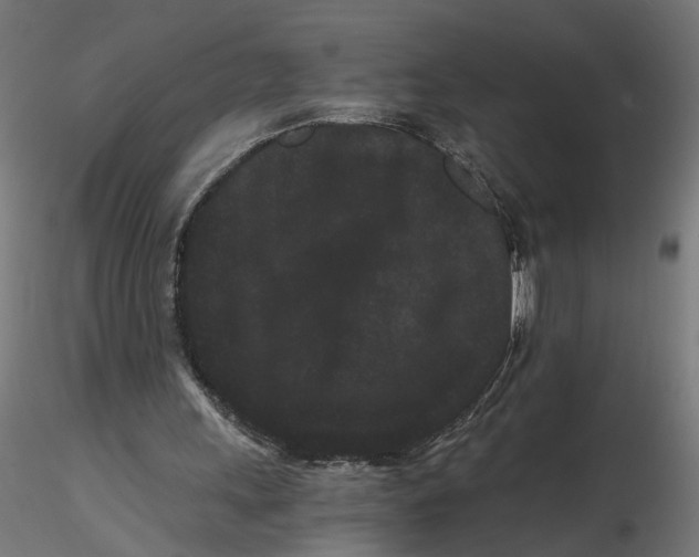 X0000116760243201001071201