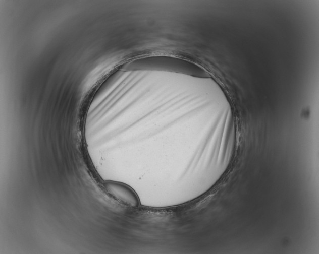 X0000116760245201001071201