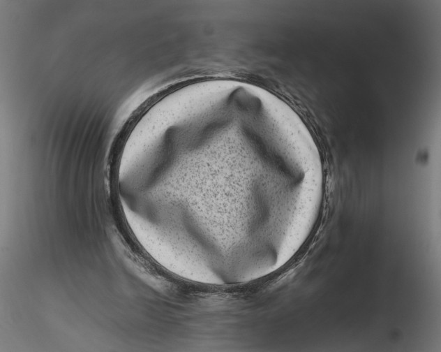 X0000116760246201001071201