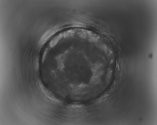 X0000116760247201001071201