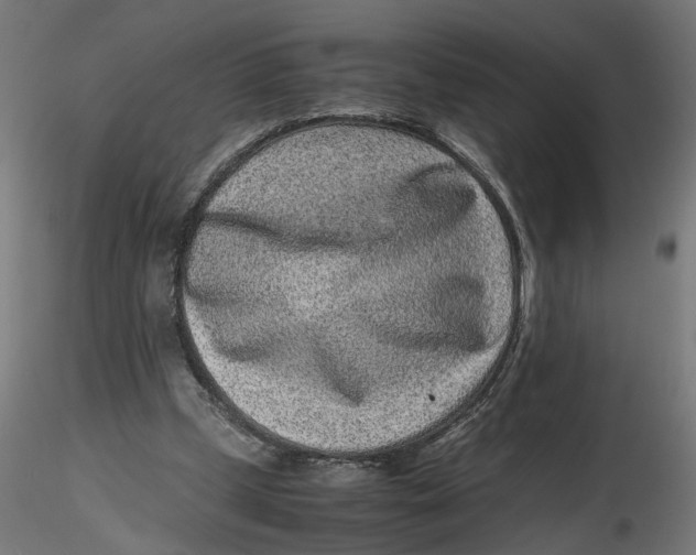 X0000116760249201001071201