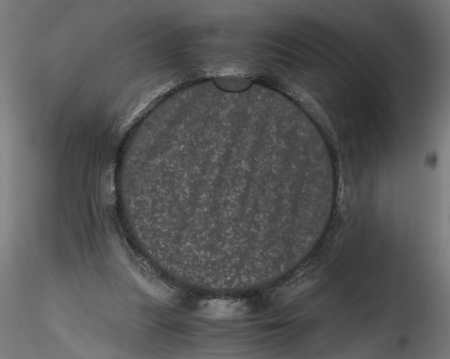 X0000116760251201001071201