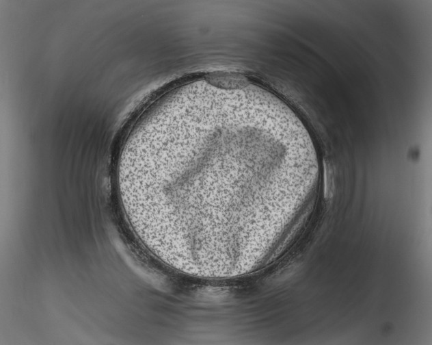 X0000116760252201001071201