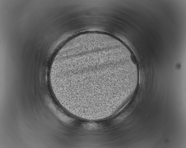 X0000116760253201001071201