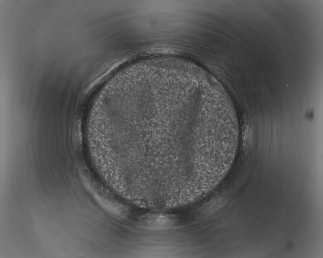 X0000116760254201001071201