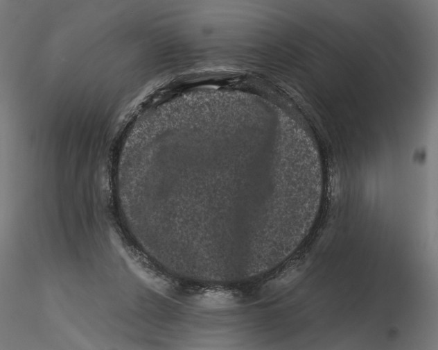 X0000116760256201001071201