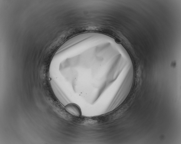 X0000116760257201001071201