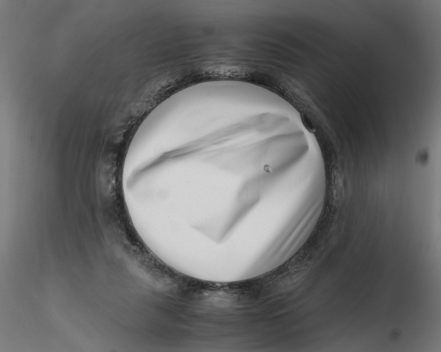 X0000116760259201001071201