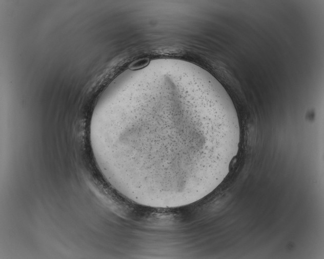 X0000116760260201001071201