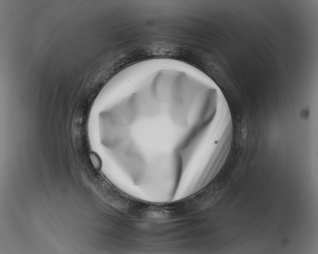 X0000116760263201001071201