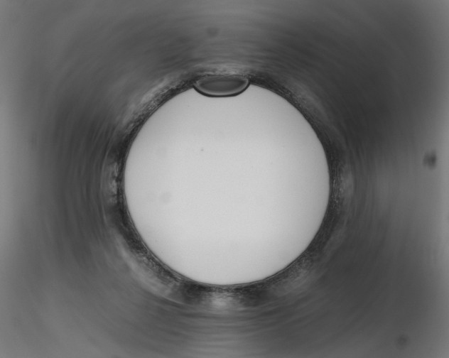 X0000116760264201001071201