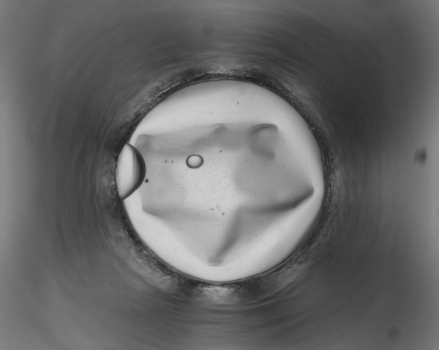 X0000116760265201001071201