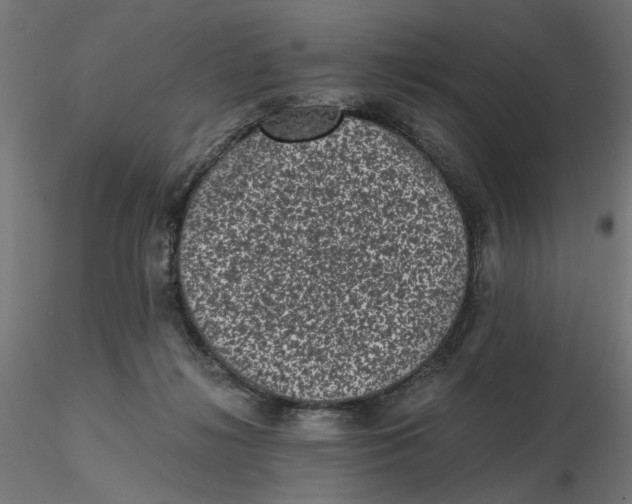 X0000116760268201001071201