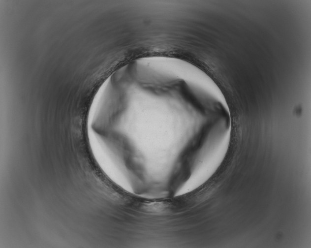 X0000116760269201001071201