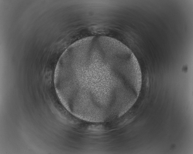 X0000116760271201001071201