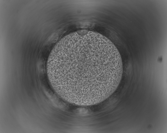 X0000116760272201001071201