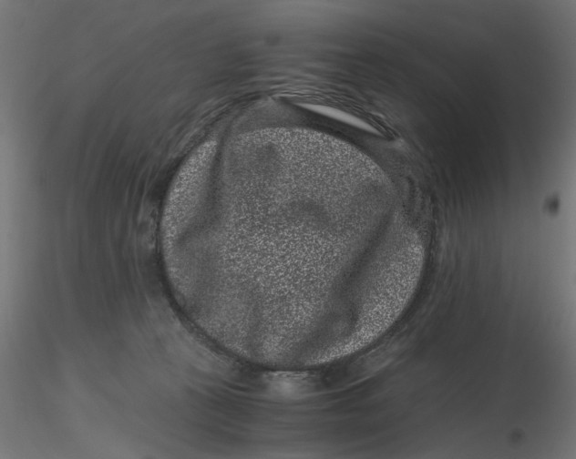 X0000116760273201001071201