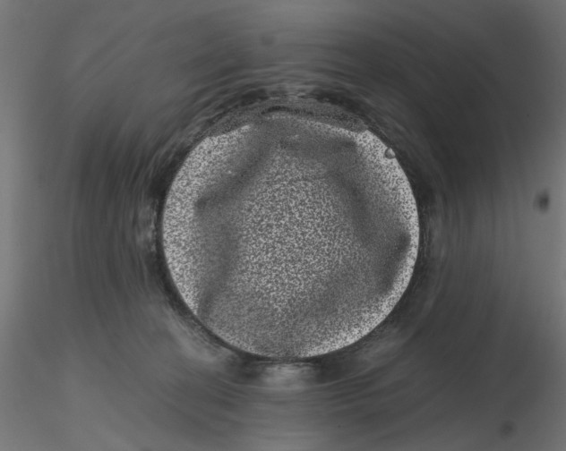 X0000116760274201001071201