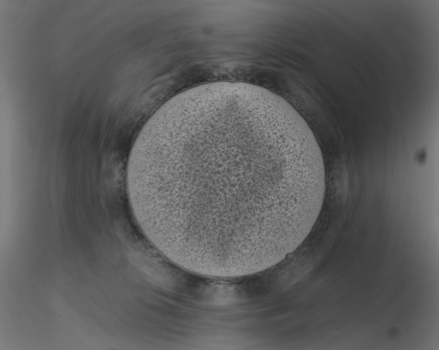 X0000116760276201001071201