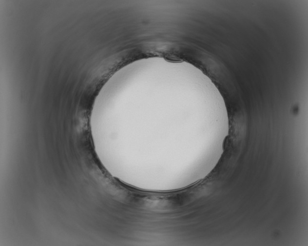 X0000116760284201001071201