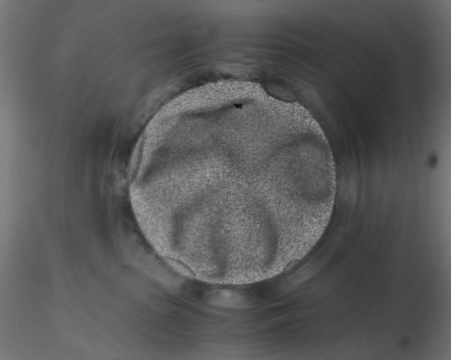 X0000116760285201001071202