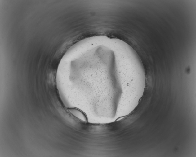 X0000116760286201001071202