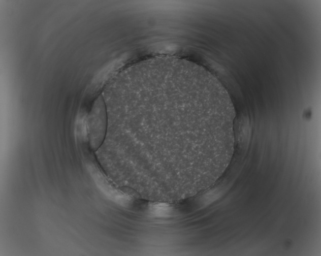 X0000116760287201001071202