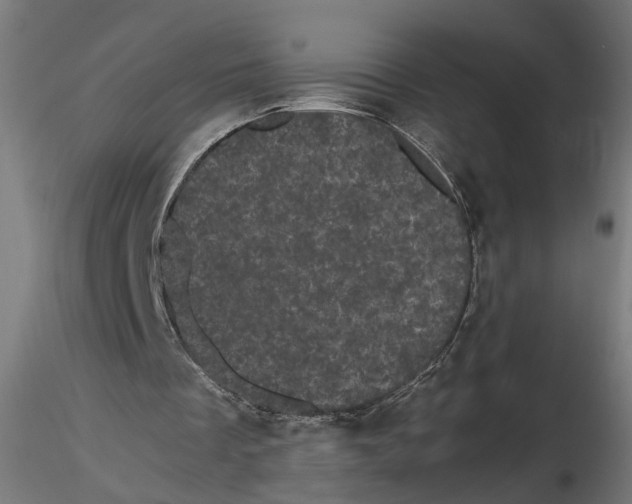 X0000116760289201001071201