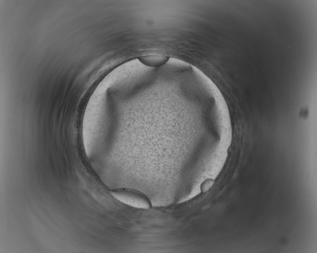 X0000116760290201001071201