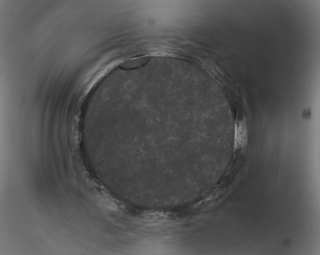 X0000116760291201001071201