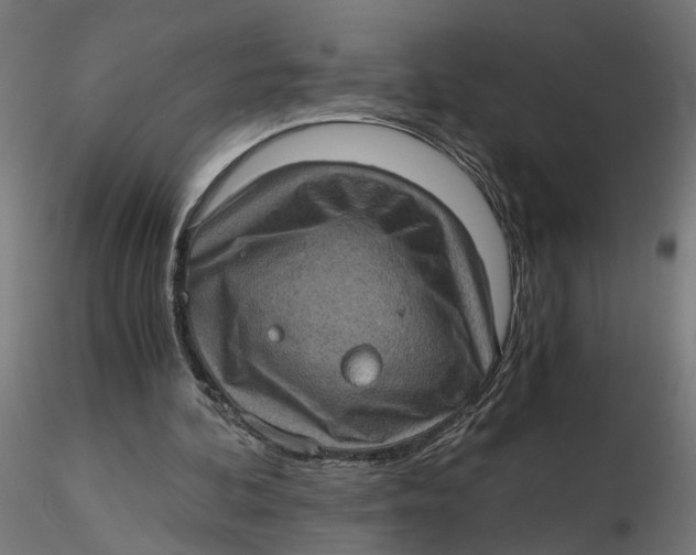 X0000116760292201001071201