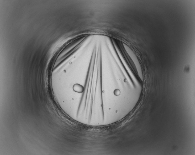 X0000116760294201001071201