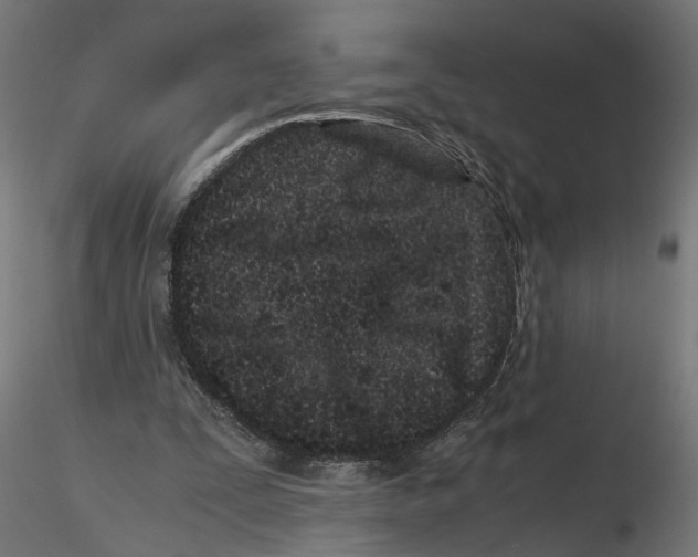 X0000116760295201001071201