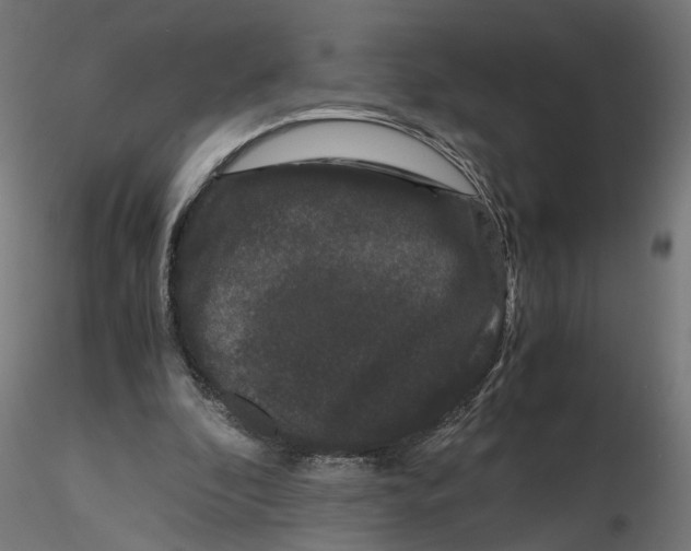 X0000116760296201001071201