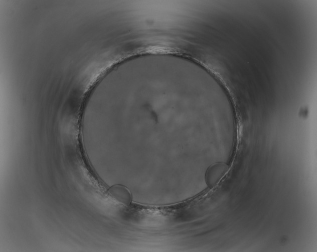 X0000116760297201001071201