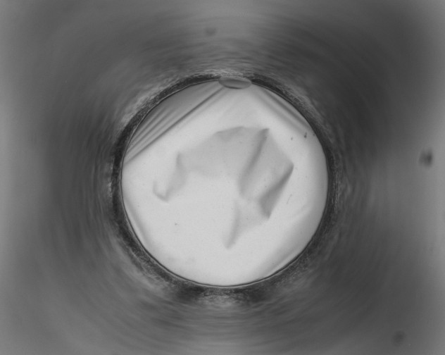 X0000116760299201001071201