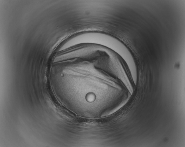 X0000116760300201001071201