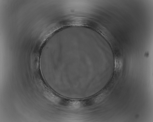 X0000116760301201001071201