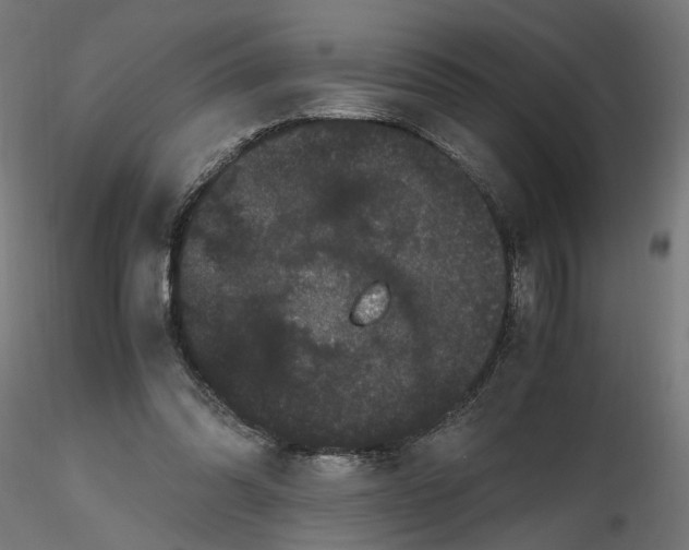 X0000116760302201001071201