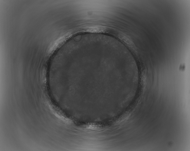 X0000116760303201001071201