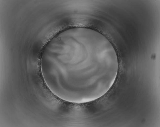 X0000116760305201001071201