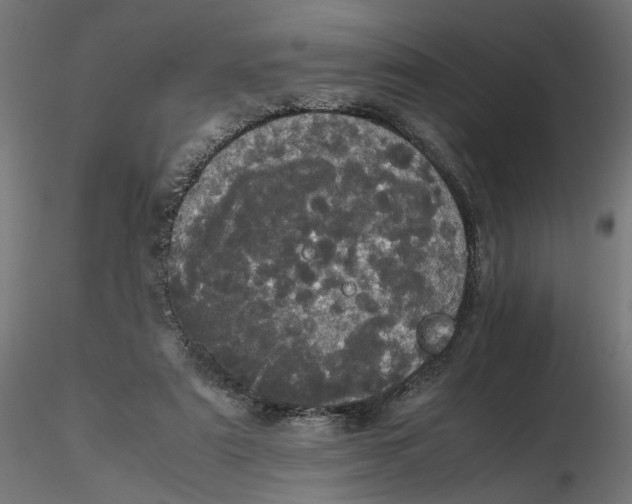 X0000116760307201001071201