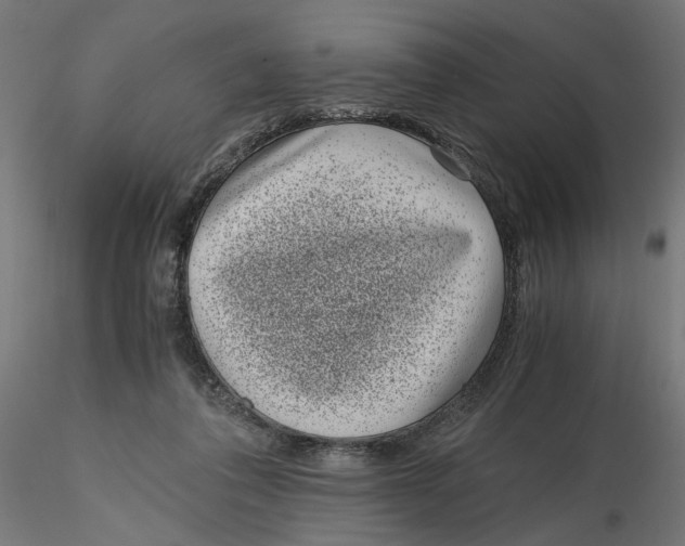 X0000116760308201001071201