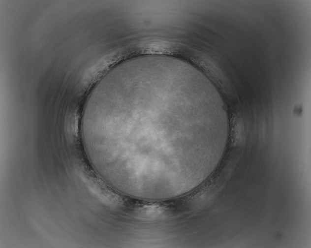 X0000116760310201001071201