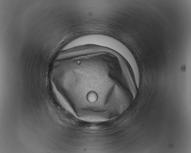 X0000116760312201001071201