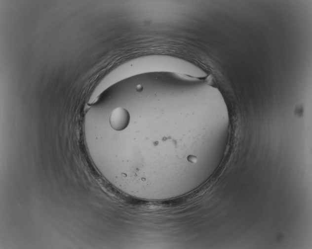 X0000116760313201001071201