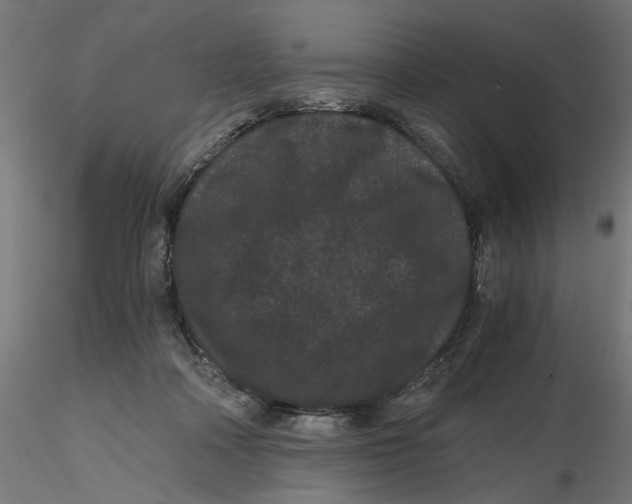 X0000116760314201001071201