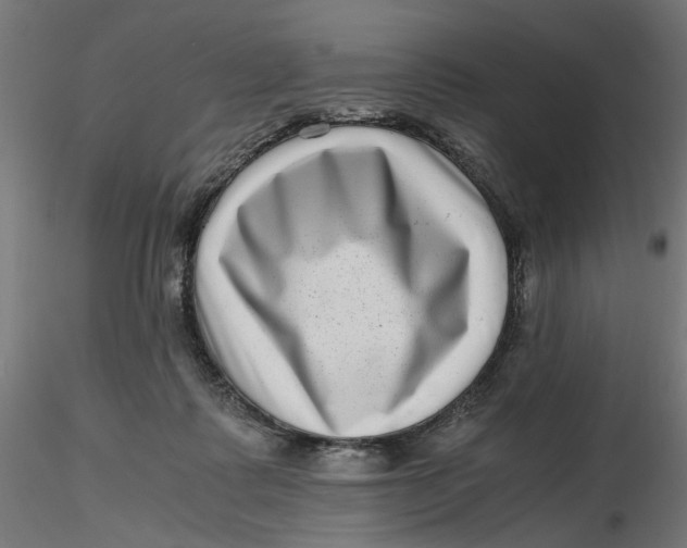 X0000116760315201001071201