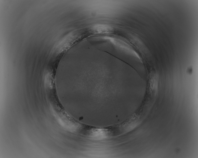 X0000116760316201001071201